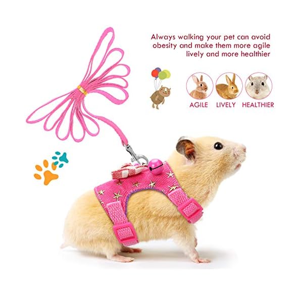 2 pieces small pet harness with bowknot and bell decor, no pulling comfort padded vest guinea pig harness and leash set for ferret, rats, iguana, hamster (black stripe,s) - image 6