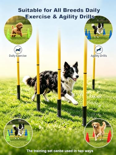 TINEPRY Dog Agility Training Hurdle...