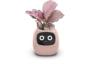 CleverBot Smart Planter: Reimagining Indoor Gardening