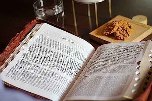 Image of RVR60, Biblia de Estudio MacArthur, Letra grande, Leathersoft, Cafe, con Indice y Cierre (Spanish Edition)