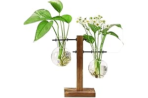 Glass Planter Bulb Vase - Elevate Your Greenery