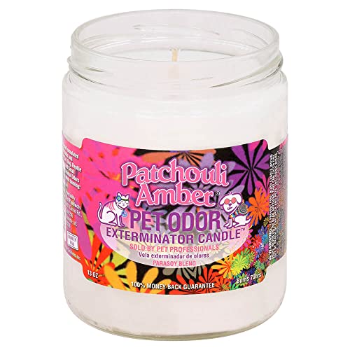 Image of Amber Patchouli Pet Odor Exterminator 13 Ounce Jar Candle (Amber Patchouli, 1)