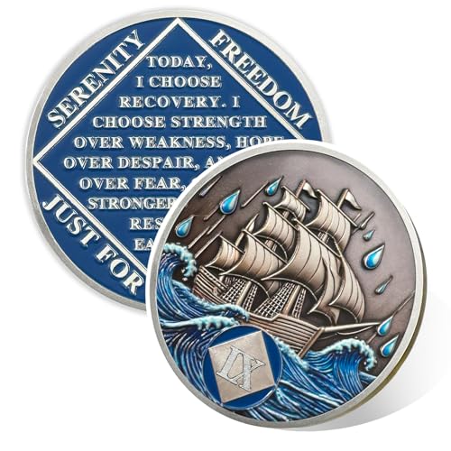Image of Braving The Storm 9 Year Sober Coin, Nautical NA Coin, Addiction Recovery Nine Year Sober Chip, Celebrating Recovery Anniversary Token, Narcotics Anonymous Sobriety Gifts for Men Women
