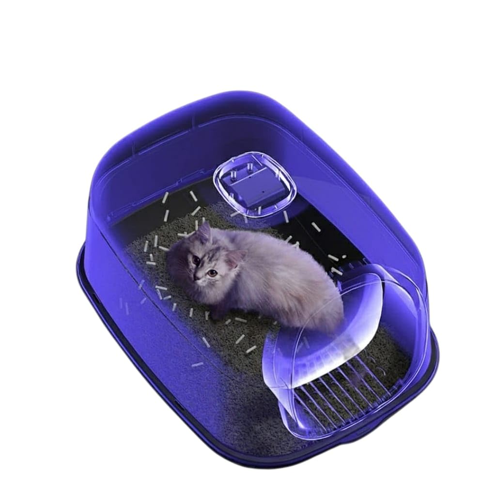 ARENERO Gato con LUZ