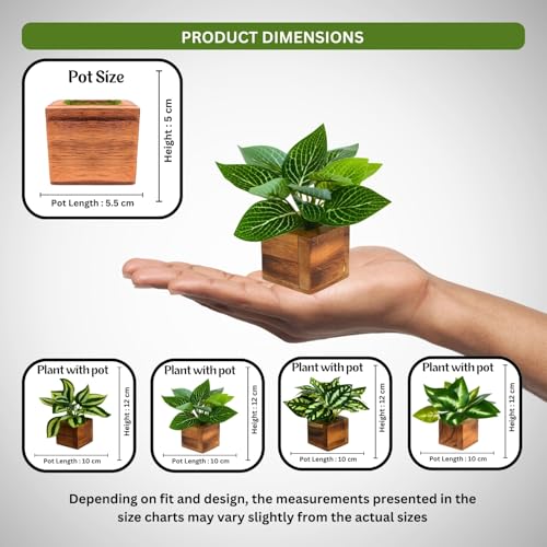 Image of DecoreBugs Artificial Leaves Potted Plants in Wooden Pot (4 Pack) Money Plant | Small Plants for Home Decor | Office Decor