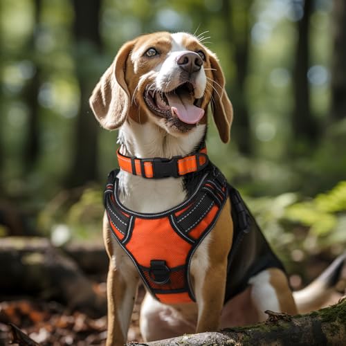 Image of Joytale Reflective Dog Collar,Soft Neoprene Padded Breathable Nylon Pet Collar Adjustable for Extra Large Dogs,Orange,XL
