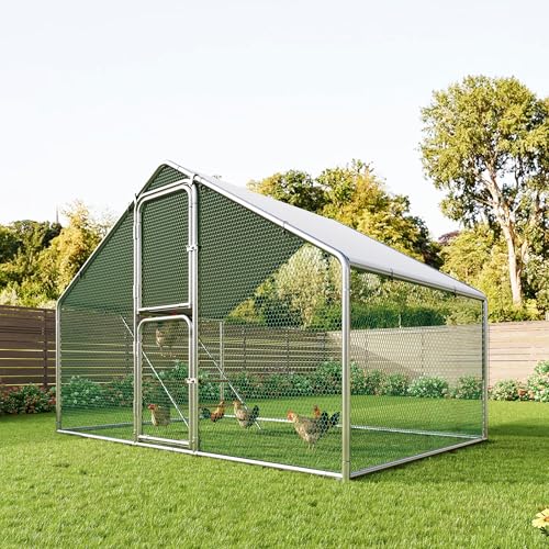 Amopatio Metal Chicken Coop