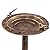 Schallen Garden Outdoor Bronze Plastic Metal Effect Clam Shell Bird Bath with Base Planter and Frog Detail