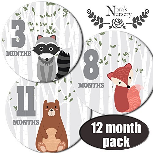 Image of Woodland Monthly Milestone Sticker Pack for Baby Boy & Girl Stickers for Newborn, 0-12 Months Photo Picture Props for Infant Onesie, Unisex Registry Shower Gift & Scrapbook Photo Memory Keepsake