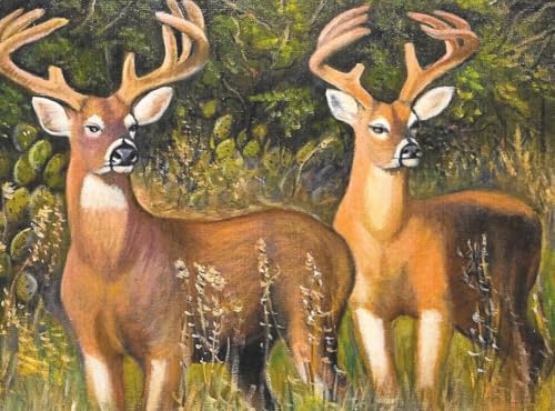 Image of Deer greeting cards, 5X7 inches with blank envelopes for each card