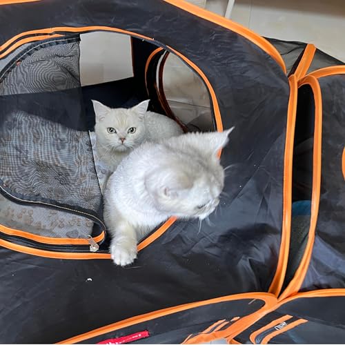 lukidoki Cercadinho Portátil Para Gatos, 2 Cômodos Com Túnel, Cercadinho Pop-Up 3 Em 1 Para Cães E G