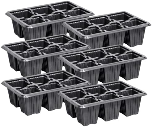 Kit 20 Bandeja Sementeira 6 Células 160ml Vaso Para Produtor de M...