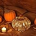 Romingo Mercury Glass Pumpkin Light with Timer for Halloween Pumpkin Decorations Fall and Thanksgiving Christmas Decor,Gold, 5.5 inches