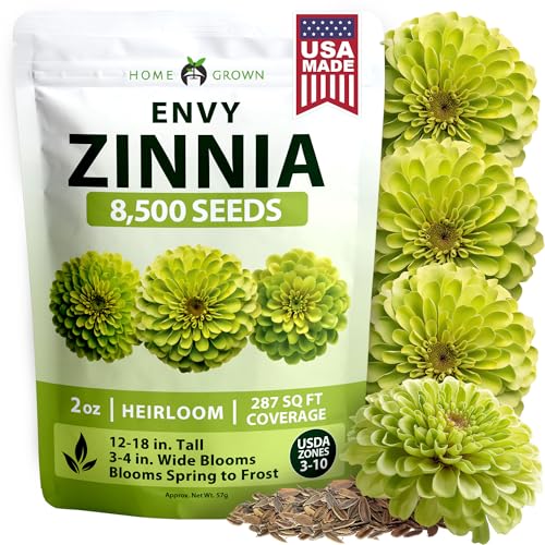 Image of HOME GROWN Envy Zinnia Seeds (2oz) - 8,500 Rare Lime Green Annual Zinnia Flower Seeds for Planting, Fast-Growing Bulk Seed Variety, Premium Garden Companion for 2026 Bloom (Zinnia elegans)