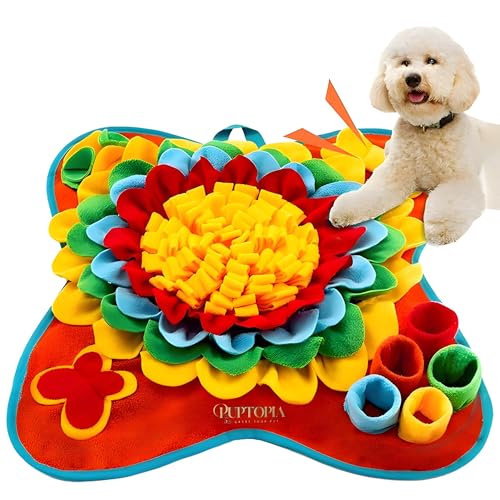 Why Does My Dog Sniff Around His Food Bowl