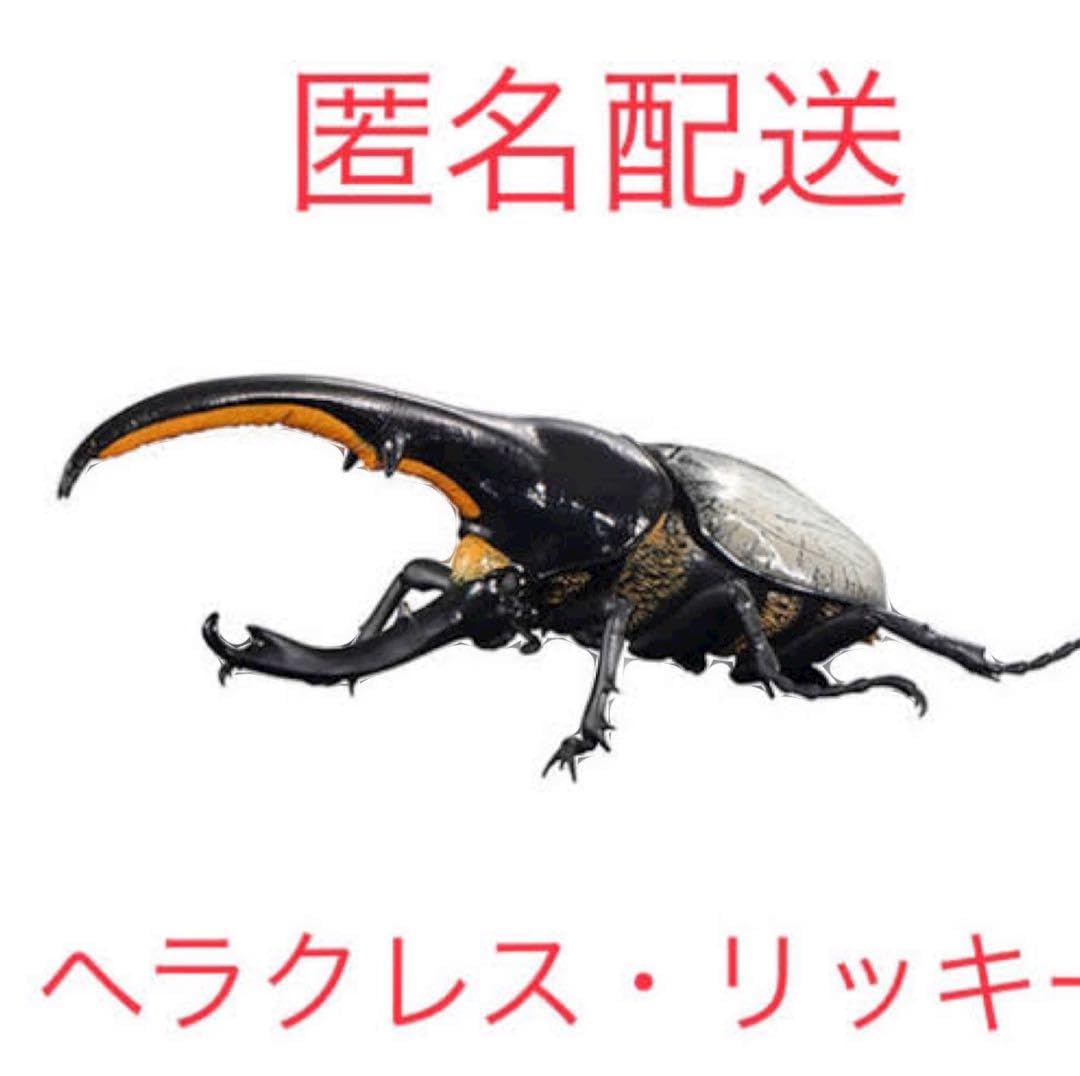 Amazon.co.jp: いきもの大図鑑アドバンス/ヘラクレスオオカブト 