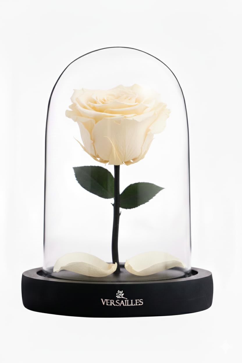 Versailles Preserved White Rose in Glass Dome | Black Wooden Base | Long Lasting Infinity Rose Romantic Anniversary, Birthday or Valentine’s Day Present-image-47