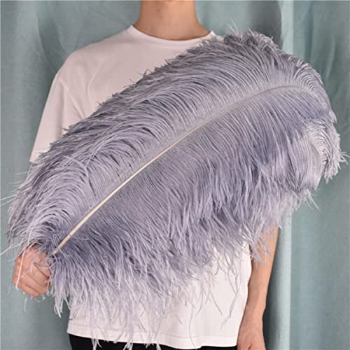 Plumes d'autruche grises de haute qualité pour décoration haut de gamme - 4