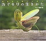 カマキリの生きかた: さすらいのハンター (小学館の図鑑NEOの科学絵本) カマキリの生きかた: さすらいのハンター (小学館の図鑑NEOの科学絵本)