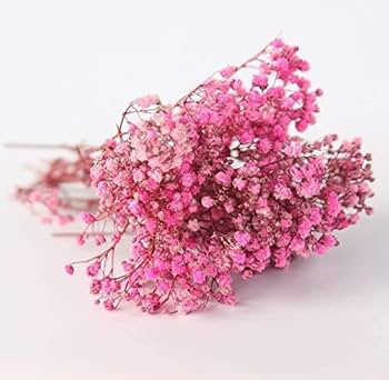 Amazon | Elegantflower かすみ草 ドライフラワー ちょっとずつ/セット Amazon | Elegantflower かすみ草 ドライフラワー ちょっとずつ/セット