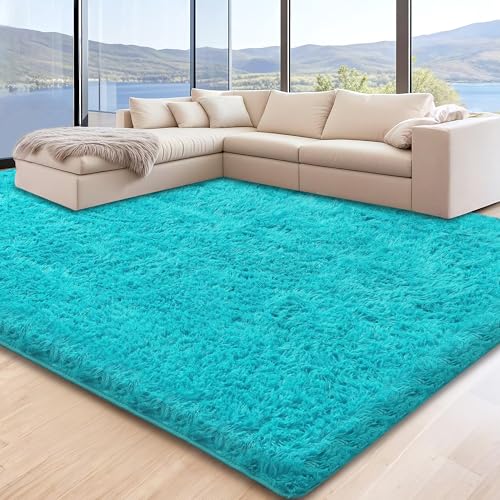 Cerulume 6x9 Teal Area Rugs for Living Room, Large Fluffy