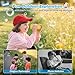 Imagen de Microscopios 4K para niños