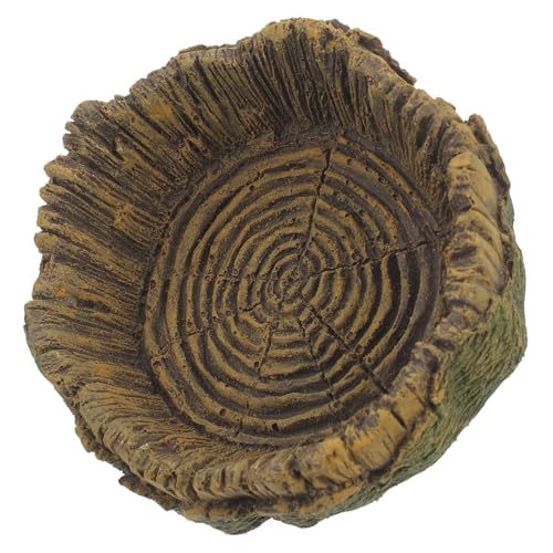 Kisangel Alimentador De Comida para Reptiles Plato De Alimentación para Arañas De Antideslizante para Terrarios y Reptiles Accesorio De Cuidado