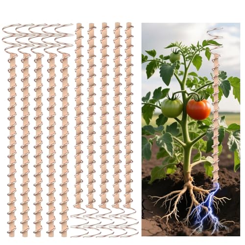 12 Electroculture Plant Stakes 10 Pack Copper Garden Stakes Long Electroculture Copper Coil Antennas for Growing Vegetable Garden Plants Support High-Yield Eco-Friendly