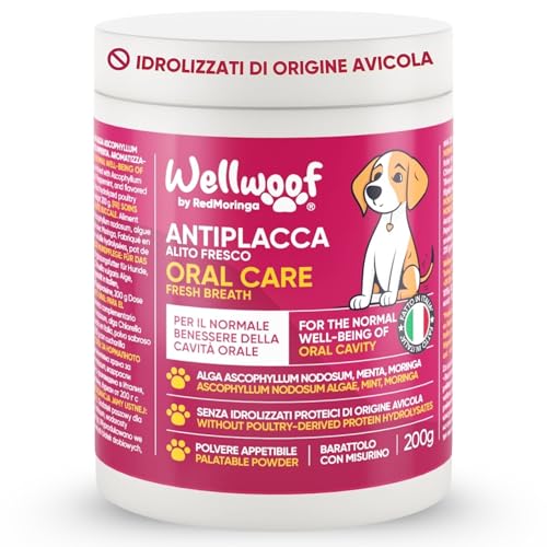 🐶 SENZA IDROLIZZATI PROTEICI DI ORIGINE AVICOLA – A differenza degli altri integratori per cani, la nostra formula non contiene idrolizzati proteici di origine avicola, rendendola più sicura per cani con sensibilità alimentari o allergie. Un'opzione naturale per migliorare la salute orale senza rischi di intolleranze.