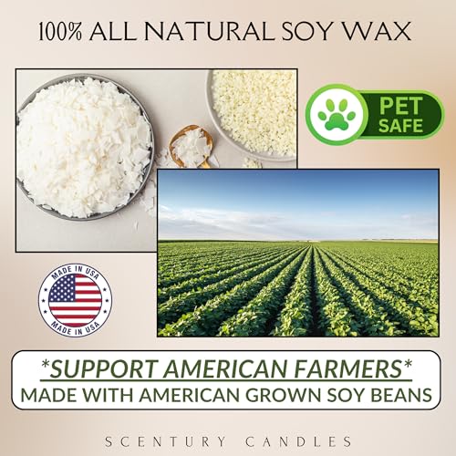 Scentury Wickless Candle Melts for Warmer Lamp – 100% Non-Toxic Soy Wax, Handmade in the USA – Choose from Many Elaborate Scents, Including Lavender - Image 8