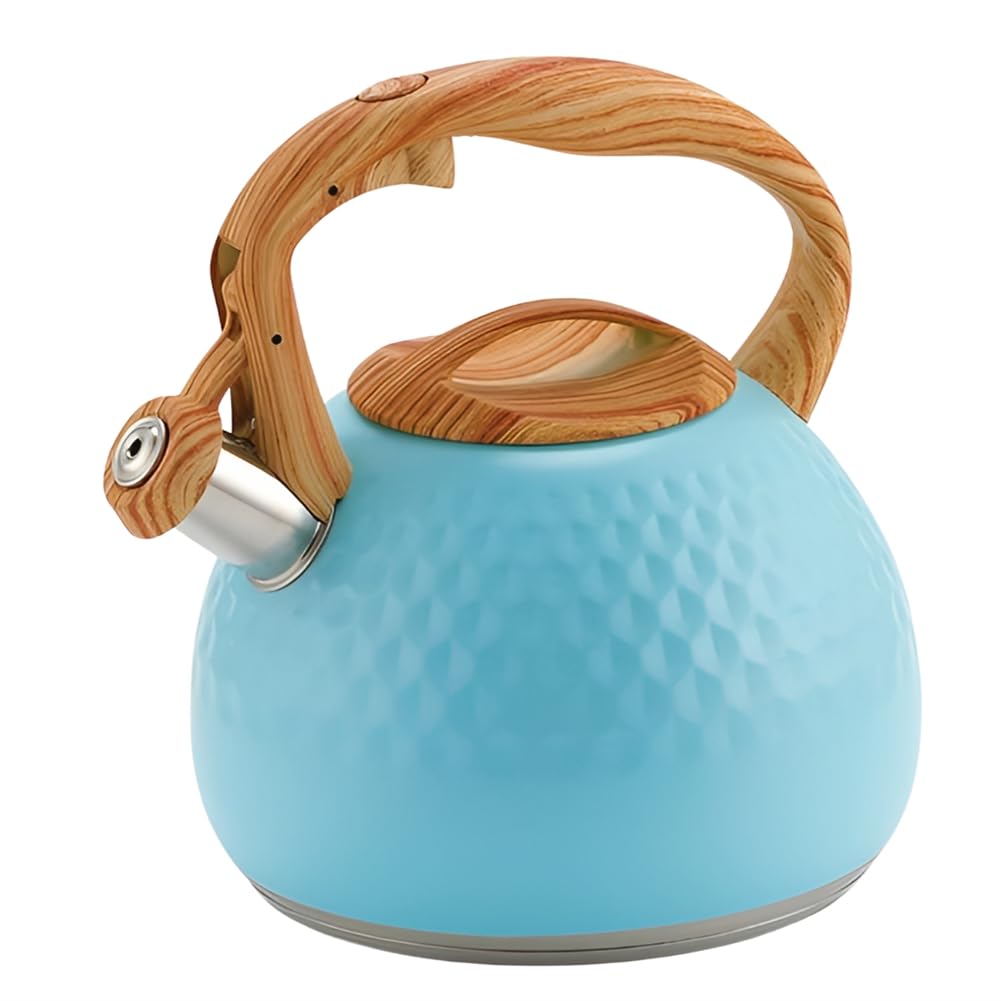 CTRLZS Kettle Whistling Kettle 3L Kettle Lid with Handle Induction Cooker Gas Stove Kettle C