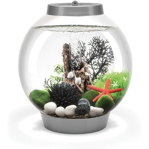 biOrb Classic 15 Acrylic 4-Gallon Aquarium with Multi-Color Remote-Controlled LED Lights Modern Compact Tank for Tabletop or Desktop Display, Silver