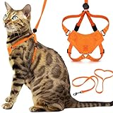 OutdoorBengal