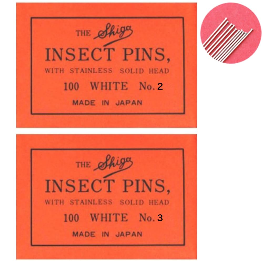 楽天市場】志賀昆虫 シガ昆虫針 00号 100本入 志賀昆蟲普及社