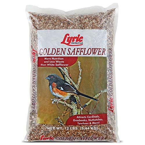 Lyric Golden Safflower Bird Seed for Outside Feeders - Attracts Cardinals Chickadees Woodpeckers & More 12 lb Bag