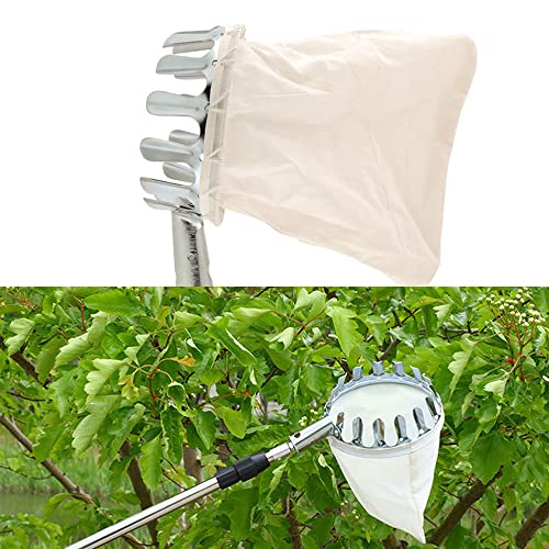 Zasiene Obstpflücker Erntehelfer Apfelpflücker Metall Fruit Picking Tool Obst Picking Tools mit Baumwollbeutel beerenpflücker für Apfel Orange Kirschp Pfirsich Birne (14 cm)