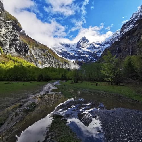 『How I Discovered the Natural World is Our Divinity』のカバーアート