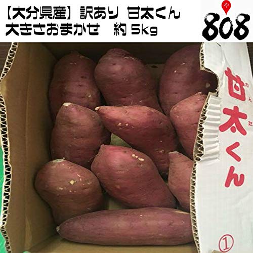 y啪Yz󂠂  Ñ 傫܂ 15kg ܂