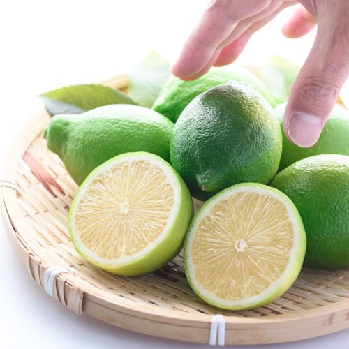 ߊCN a̎RY O[  nEX͔| bNXsgp hܕsgp S͔| Y Y (5k)