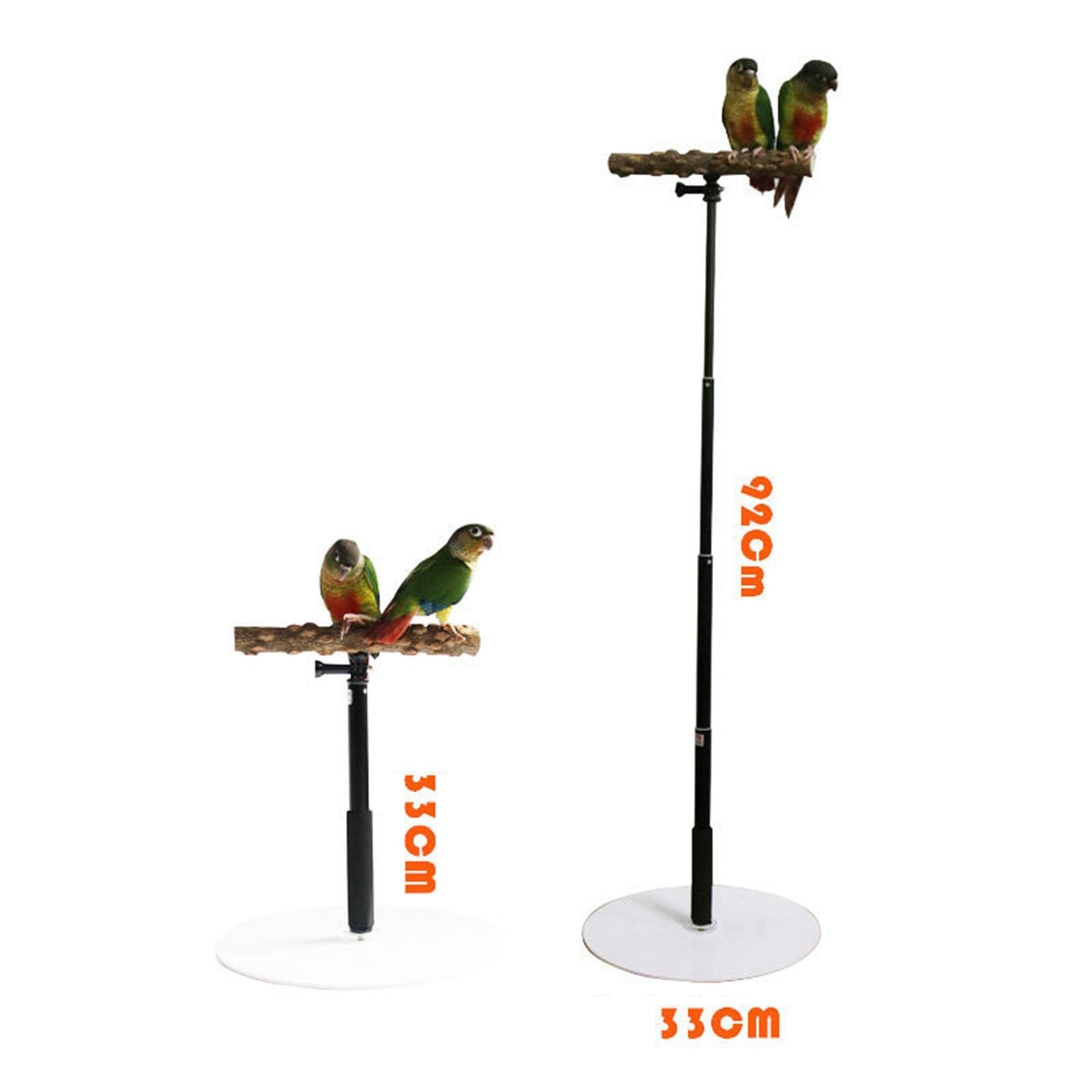 Drewniany stojak na papugę, trening, stabilny, dla ptaków, dla Finch Conures Cockatiel