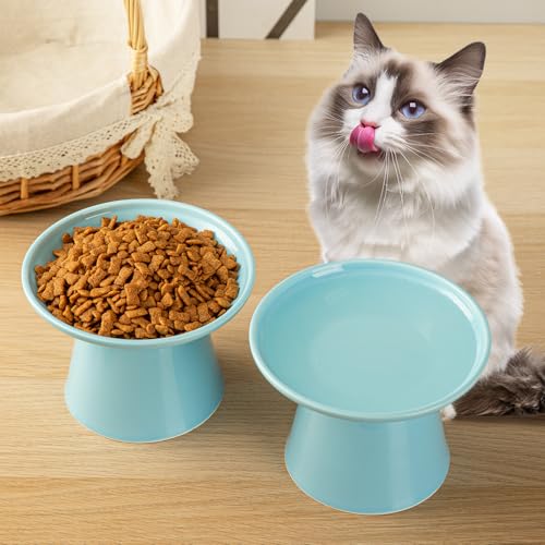 Gamelle surélevée céramique extra large design ergonomique chat - 6