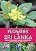 Produktbild A Naturalist's Guide to the Flowers of Sri Lanka