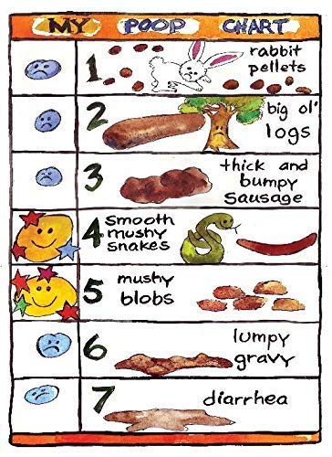 Bristol Stool Chart - A Gutsy Girl Tin Sign - 8'' X 12'' Vintage Funny Creature Iron Painting Metal Plate Personality Novelty