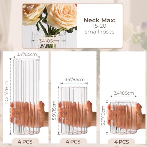 image for ComSaf Glass Cylinder Vases Pack of 12, Clear Ribbed Bud Vases for Cen
