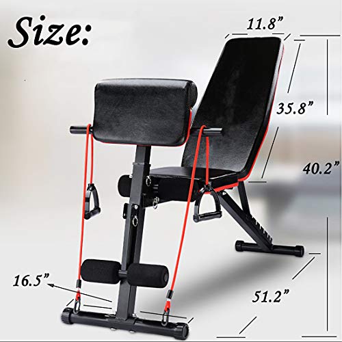 Nisorpa Dumbbell Bench Foldable Weight Bench With Adjustable Backrest and Priest Stool For Full Body Training Workout Sit Up