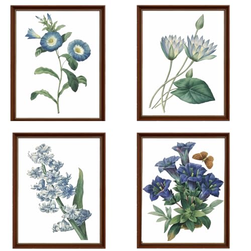 Vintage Botanical Flower Prints-Blue Flower Canvas Wall Art, Boho Rustic Farmhouse French Country Cottagecore Wildflower Floral Poster, Vintage Plant Picture for Kitchen 8x10 IN Unframed
