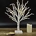 Twinkle Star 2FT Birch Tree with 24 LED Lights, Christmas Table Decorations Lights Battery Operated for Indoor Christmas Wedding Party Home Bedroom Fall Decoration,Warm White