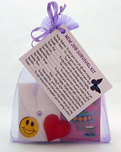 New Job Survival Kit Gift For New Job, New Career Leaving Present Thank You by clever little gifts (Purple)