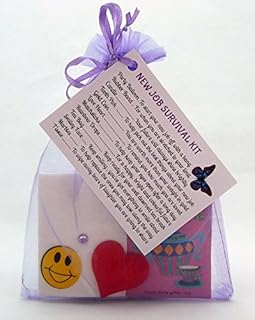 New Job Survival Kit Gift For New Job, New Career Promotion Leaving Present Thank You by clever little gifts
