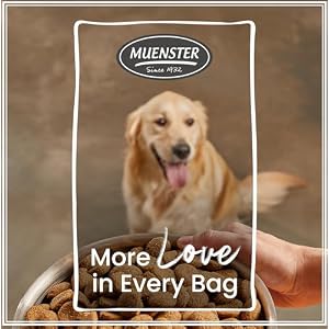 Muenster Historic Grains Canine Meals (22lb) - Ocean Fish Dry Canine Meals 22 lb Bag โ Gluten Free, Non-GMO Excessive Protein Canine Meals - Wholesome Digestive Canine Kibble for All Life Phases Muenster Historic Grains Canine Meals (22lb) โ Ocean Fish Dry Canine Meals 22 lb Bag โ Gluten Free, Non-GMO Excessive Protein Canine Meals โ Wholesome Digestive Canine Kibble for All Life Phases